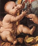 LEONARDO da Vinci The Madonna of the Carnation  g oil painting reproduction